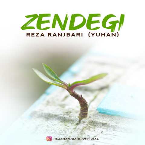 دانلود آهنگ رضا رنجبری زندگی
